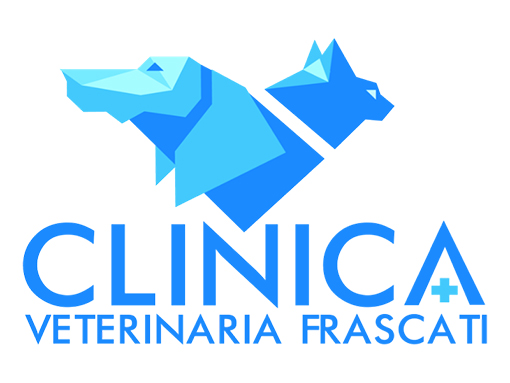 clinica veterinaria frascati