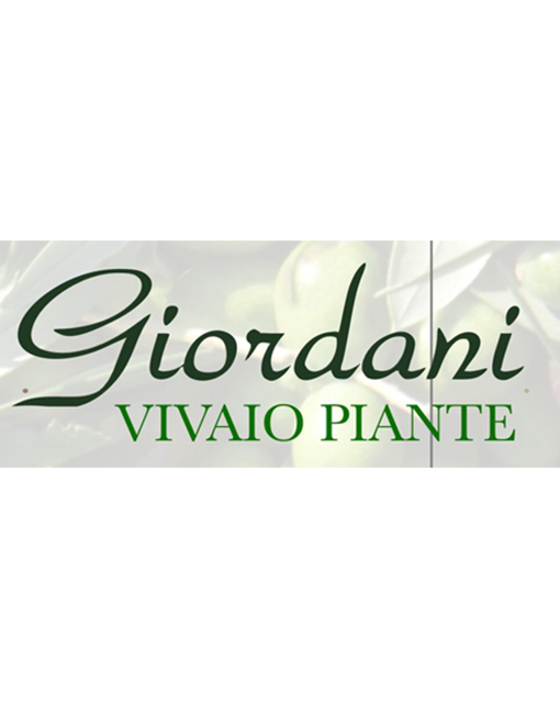 Giordani Vivaio Palestrina