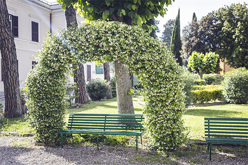 casa per ferie san luigi Trionfale